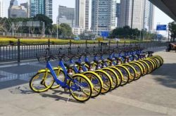 （3分钟科普）杭州工厂招聘信息最新招聘2021_哔哩哔哩-2